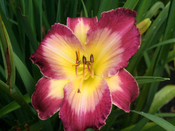 Toon details van Kurumba Afbeeldingen van Kurumba