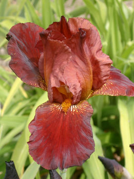 Toon details van Caldron Afbeeldingen van Caldron