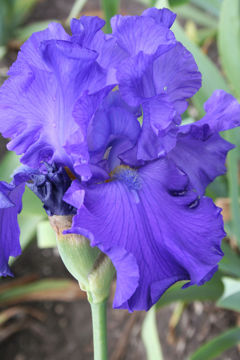 Toon details van Breakers Afbeeldingen van Breakers