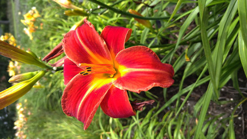 Afbeeldingen van Chewonki